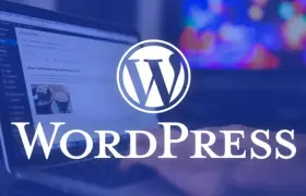 Custom WordPress Theme Development